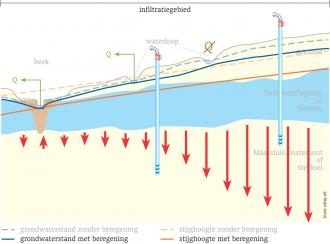 Afbeelding 3 Schematische weergave van een infiltratiegebied en kwelgebied met grondwaterstand en stijghoogte verloop en de afvoer van sloten en beken voor een situatie zonder (links) en met grondwateronttrekking t.b.v. beregening (rechts). Bron De Louw, 2009
