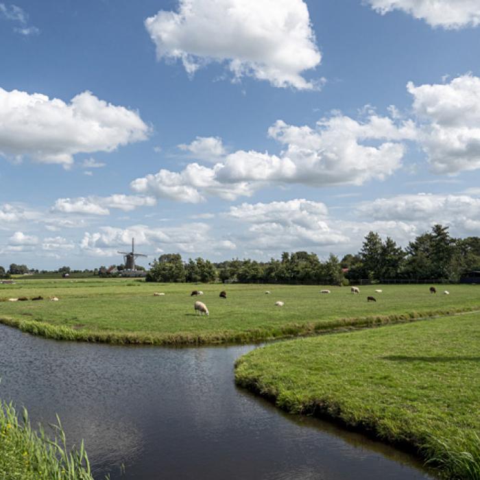 Foto van veenweidenlandschap