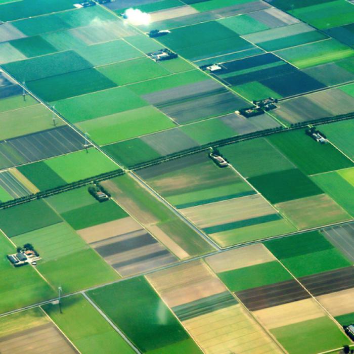 Luchtfoto van landbouwpercelen