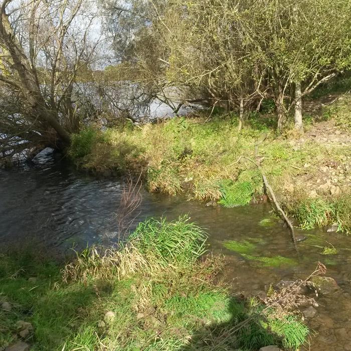 Foto van beekmonding in grote rivier