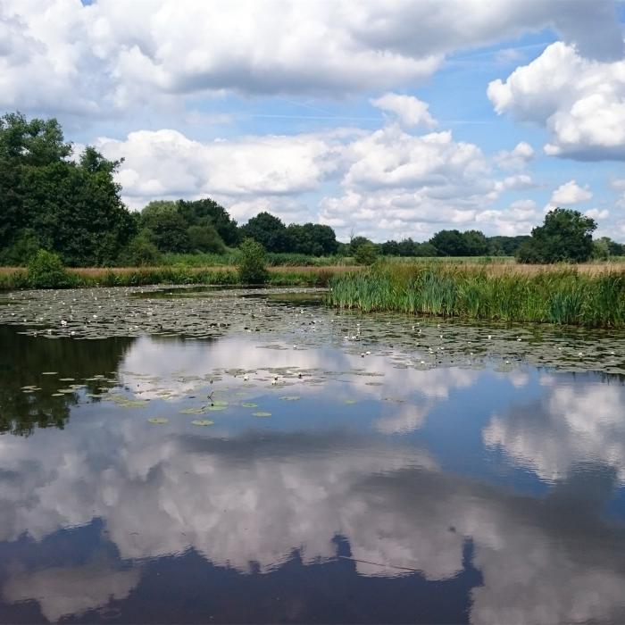 Foto met dank aan Waterschap de Dommel