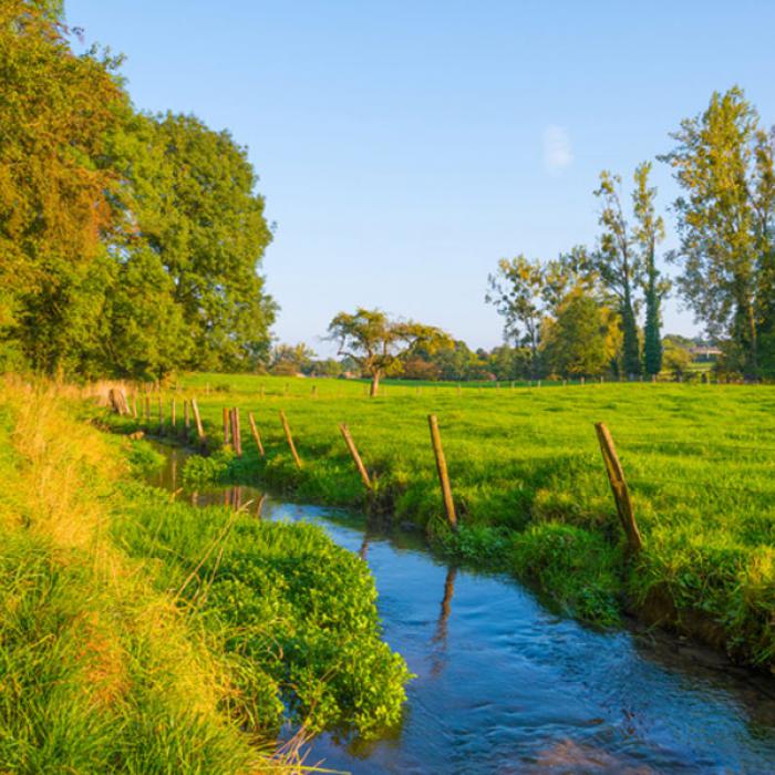 Foto van beek in beeklandschap