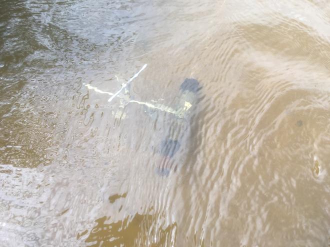 Afbeelding 4 Optische zuurstofsensor in een nevengeul van de Overijsselse Vecht, waarmee hoogfrequent de zuurstofconcentratie wordt geregistreerd.