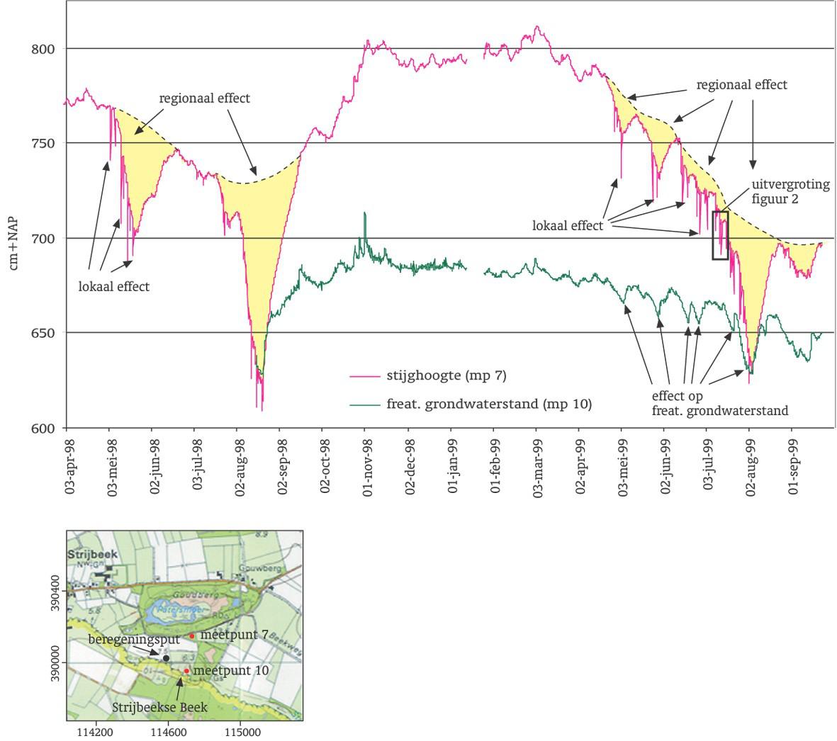 Afbeelding 4 Metingen van de stijghoogte en freatische grondwaterstand in de Strijbeek (De Louw, 2009)