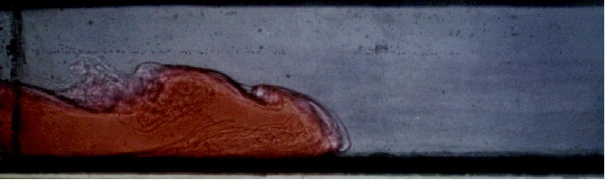 Afbeelding 3. Voortplanting van de (rode) zouttong naar rechts over een bodem. Niet zichtbaar is de retourstroming van lichter rivierwater naar links boven de zouttong (Friocourt e.a. 2012).