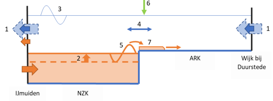 Afbeelding 8. Schematische weergave van de verziltingsdynamiek van het Noordzeekanaal – Amsterdam-Rijnkanaal (NZK-ARK). Door afname van het doorspoeldebiet (1) wordt minder zout afgevoerd naar zee, waardoor het systeem oplaadt en het NZK sterker verzilt raakt. Hierdoor komt de overgang tussen de zoute onderlaag en de zoete bovenlaag (2) hoger te liggen en ligt deze net onder de hoogte van de drempel naar het ARK, waarna het zoute water door een of meerdere processen (3, 4, 5) voorbij de drempel in de mondi