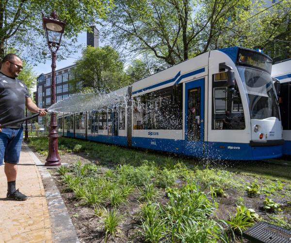 Persoon bewatert planten in een plantsoen